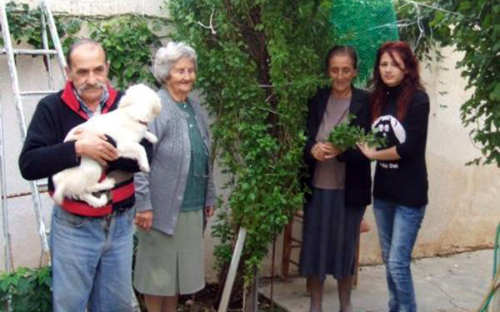 Βασιλικός για ρεκόρ Γκίνες στην Ιεράπετρα