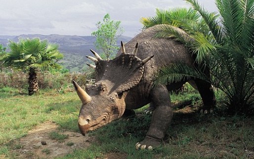 Ανακαλύφθηκε νέο είδος δεινοσαύρου