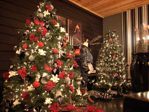 Διαφορές έως και 2.300% στις τιμές των χριστουγεννιάτικων δέντρων