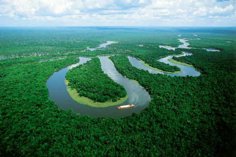 Διαδικτυακή εκστρατεία για τη σωτηρία του Αμαζονίου