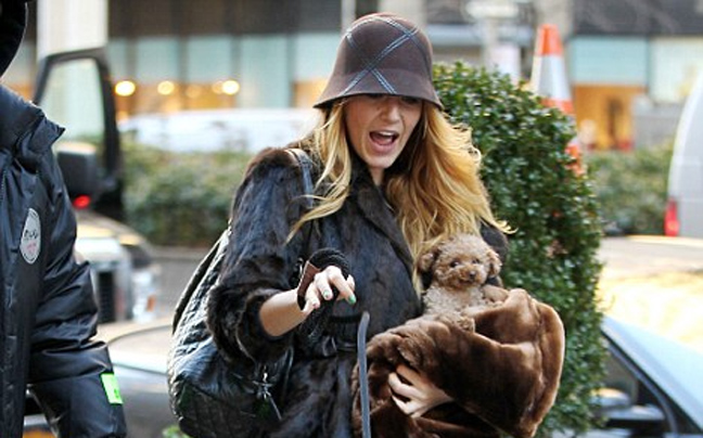 Η Blake Lively και τα … σκυλιά της