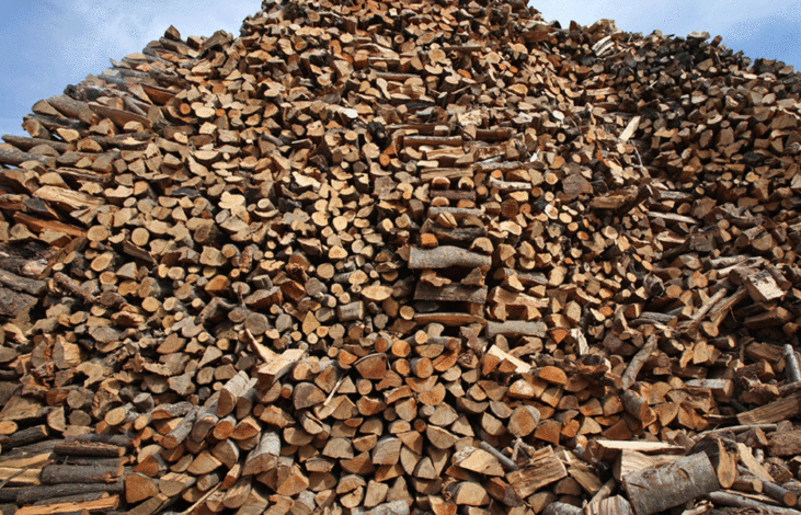 Ρυθμιστική διάταξη για την κοπή ξύλων στη Σάμο