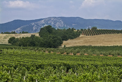 Έρχεται χαράτσι και στα αγροτεμάχια;