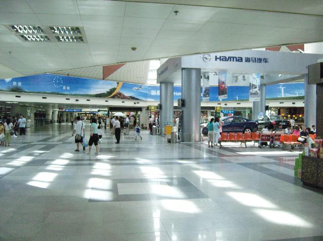 Σκότωσαν σκύλο γιατί το’ σκασε από το κλουβί μεταφοράς