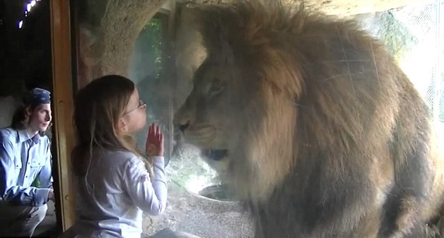 Δε φοβήθηκε όταν το λιοντάρι βρυχήθηκε μπροστά της