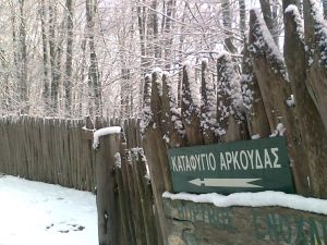 Κοιμήθηκαν οι αρκούδες, έκλεισε το καταφύγιο