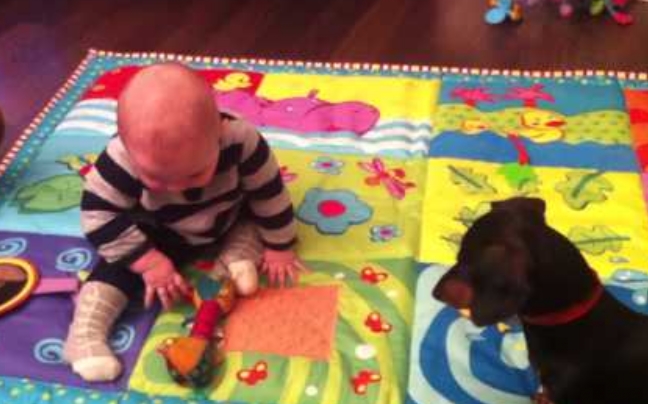 Σκύλος μαθαίνει σε μωρό να πιάνει&#8230; κόκαλα