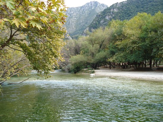 Ένας μαυροπελαργός στο δέλτα του Αχέροντα