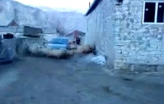Καταραμένα πρόβατα, αφήστε με να πάω στη δουλειά μου…