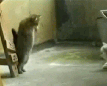 Matrix, έτσι ήρθε η έμπνευση