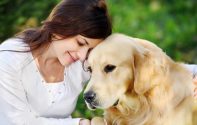 Τι πρέπει να ξέρετε για να ζείτε αρμονικά με το σκύλο σας