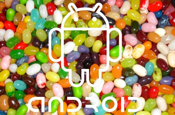 Android Jelly Bean και στο Galaxy S II;