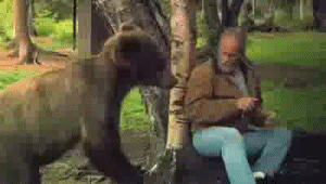 Πώς να ξεφορτωθείτε μία ενοχλητική αρκούδα