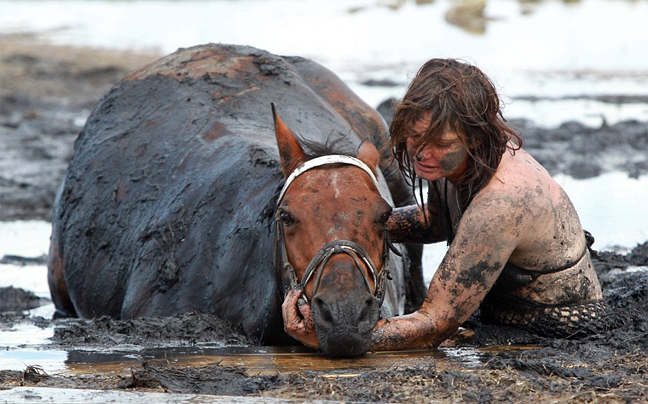 Μάχη με το χρόνο για άλογο που παγιδεύτηκε στη λάσπη