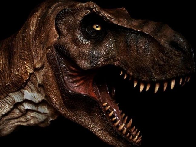 Έρευνα αποκαλύπτει τις ικανότητες του Τυραννόσαυρου Ρεξ