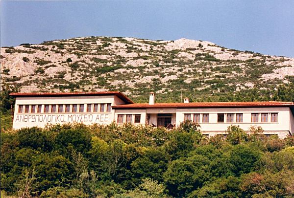 Επιστημονική «ανάσα» στο Μουσείο Πετραλώνων