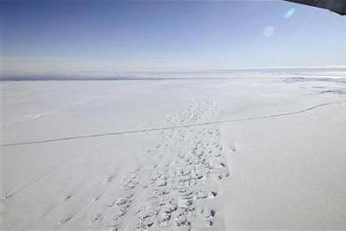 Οι «εισβολείς» που απειλούν την Ανταρκτική