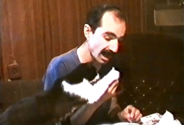 Αχόρταγο γατί…