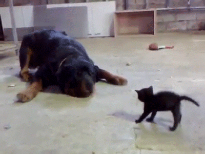 Όχι μαγκιές σε μένα&#8230;