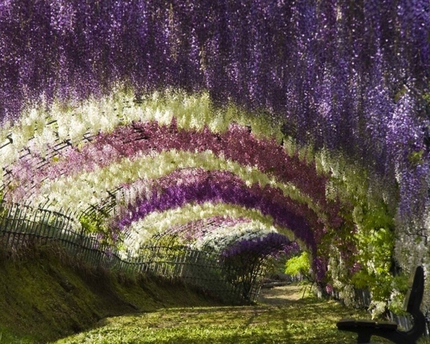 Οι κρεμαστοί κήποι της Ιαπωνίας!