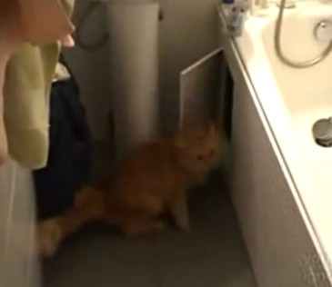 Άσε το πορτάκι ανοιχτό…