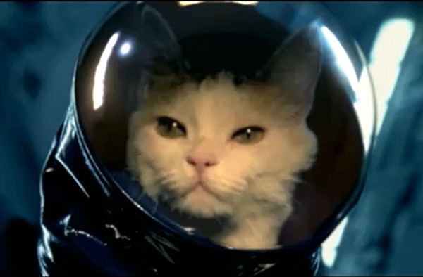 Γάτα στο διάστημα