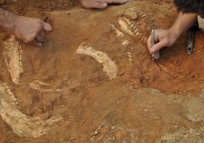 Τάφοι 3.000 ετών ανακαλύφθηκαν στο Πακιστάν