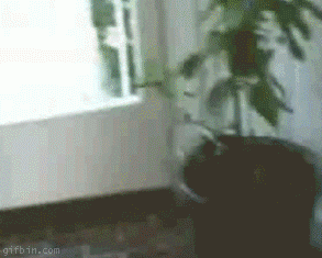 Break dance baby