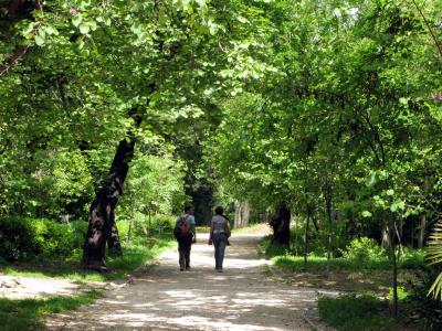 «Ανακαλύπτοντας τον Εθνικό Κήπο»