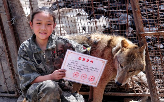 Δεκάχρονη μαθήτρια παίζει σε κλουβί με… λύκους!