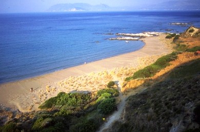 Οι θαλάσσιες χελώνες επέστρεψαν στη Ζάκυνθο