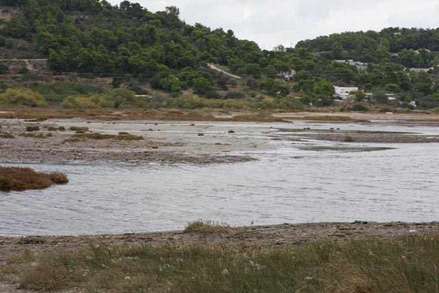 Πράσινες Πολιτιστικές Διαδρομές στη Βραυρώνα