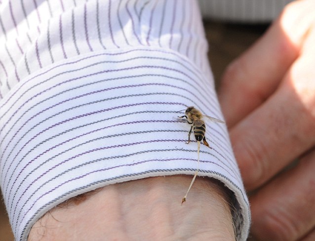 Άρτα: Πυροσβέστες έσωσαν 75χρονο αλλεργικό μετά από τσίμπημα μέλισσας &#8211; Έπαθε ανακοπή