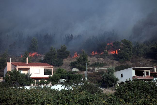 Πυρκαγιά σε δασική έκταση στην Κερατέα