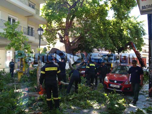 Του ήρθε ο πλάτανος&#8230; σφοντύλι