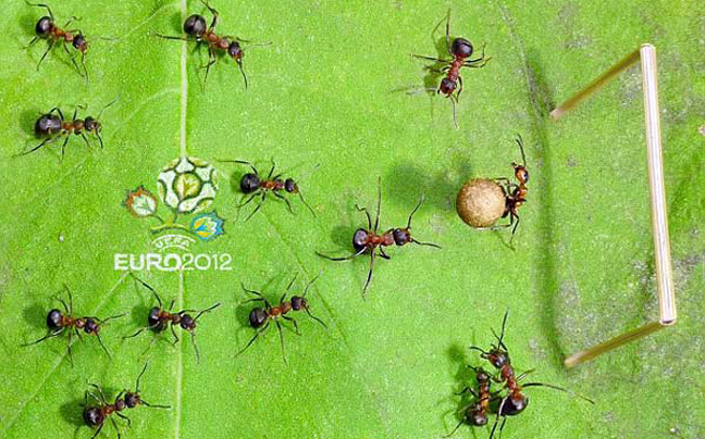 Tα μυρμήγκια πάνε Euro!