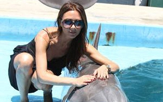 Η Victoria και το δελφίνι