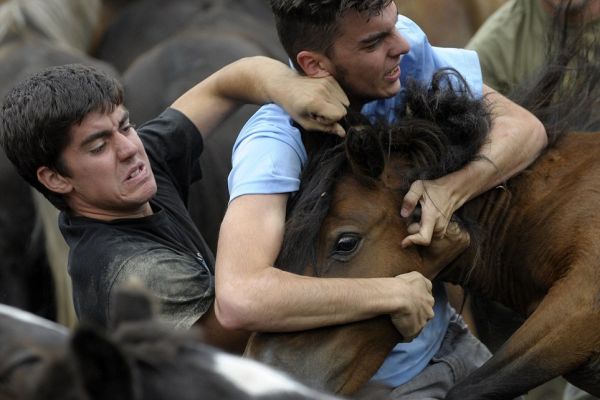 «Πάλη» μεταξύ ανθρώπων και αλόγων στην Ισπανία