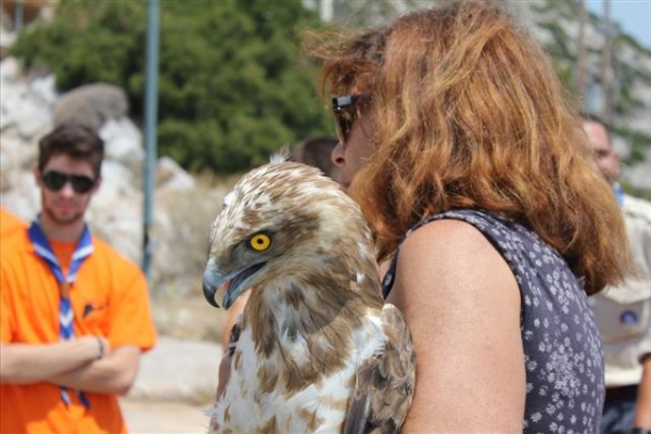 Οι πρόσκοποι συνεργάζονται με την ΑΝΙΜΑ