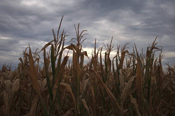 Η χειρότερη ξηρασία δεκαετιών πλήττει τις ΗΠΑ