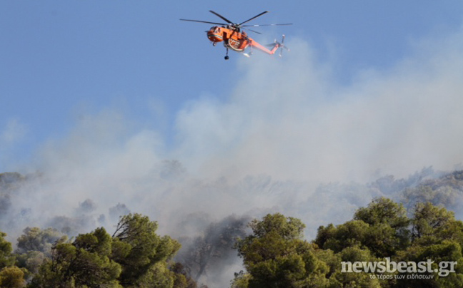 Σε ύφεση οι πυρκαγιές σε Αχαΐα, Χανιά και Ζευγολατιό