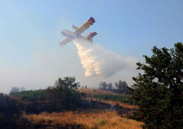 Μαίνεται φωτιά στη Γορτυνία