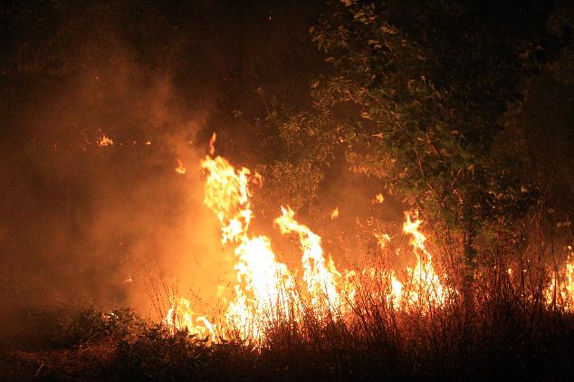 Μεγάλη πυρκαγιά στην Αρκίτσα Φθιώτιδας