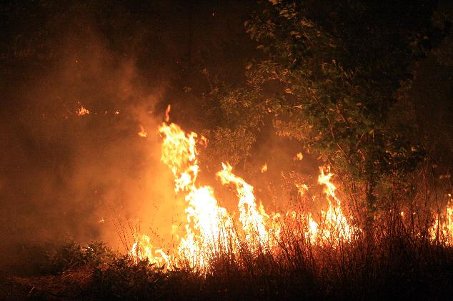 Υπό μερικό έλεγχο η φωτιά στην Πάργα