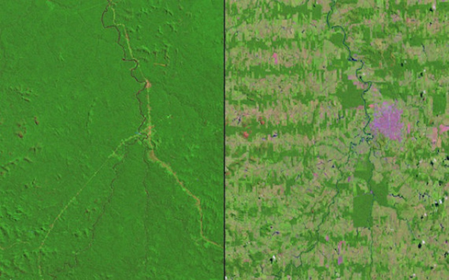 Το δάσος του Αμαζονίου εξαφανίζεται