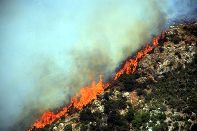 Πυρκαγιά σε δασική έκταση στην Κορινθία