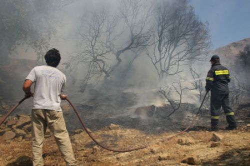 Μάχη με τις φλόγες δίνουν οι πυροσβέστες στη Μαλεσίνα
