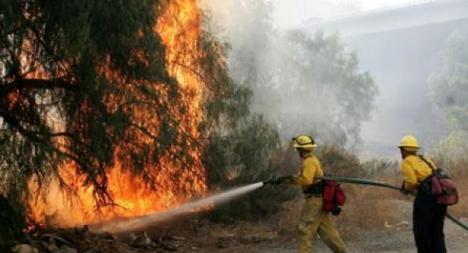 Σε εξέλιξη πυρκαγιά στην περιοχή Σκαρίνου στην Κύπρο