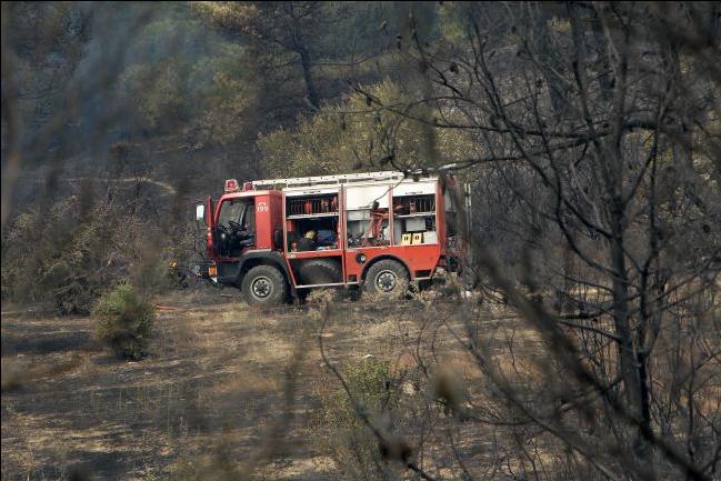 Σε τουλάχιστον 20 μέρες οι αποζημιώσεις στη Χαλκιδική