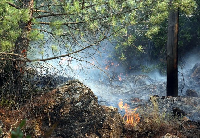 Πυρκαγιά καίει δασική έκταση σε δύσβατη περιοχή στη Σάμο